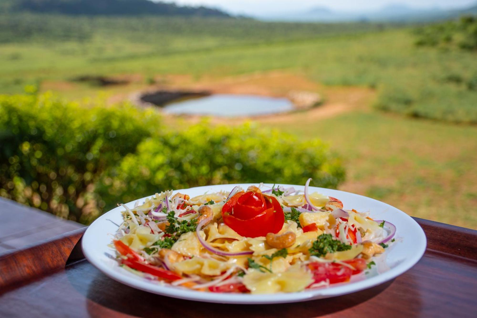 Ngulia Safari Lodge Ithumba Екстериор снимка